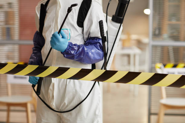 Professional Sewage Cleanup technician working in Chapmansboro, TN